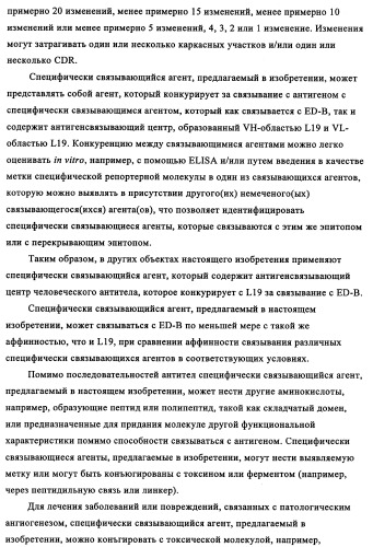 Избирательный направленный перенос в сосудистую сеть опухоли с использованием молекул антител (патент 2347787)