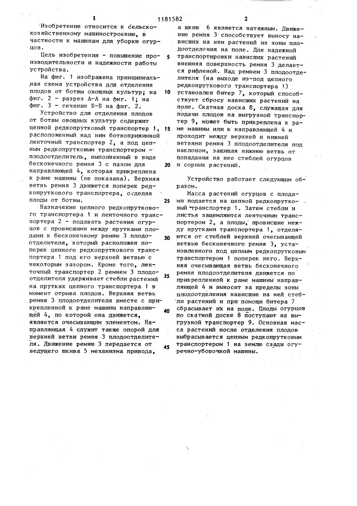 Устройство для отделения плодов от ботвы овощных культур (патент 1181582)