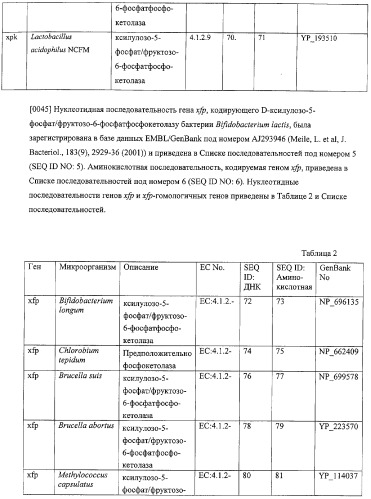 Использование фосфокетолазы для продукции полезных метаболитов (патент 2322496)