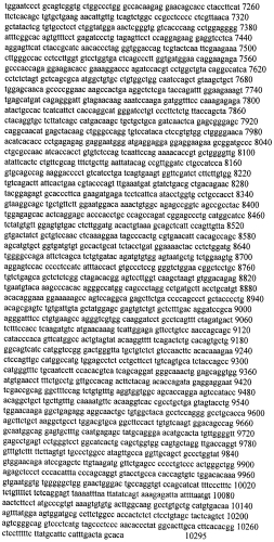 Модуляция экспрессии гентингтина (патент 2562861)