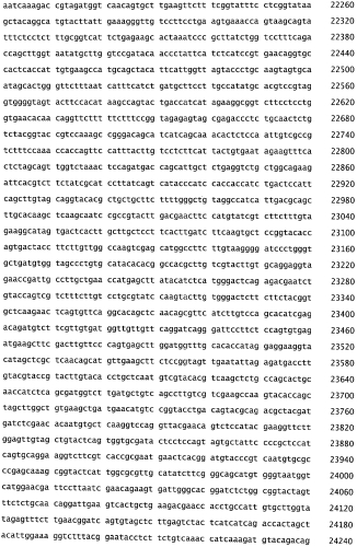Бактериофаг, обладающий активностью против pseudomonas aeruginosa, белки бактериофага и способы их применения (патент 2580248)