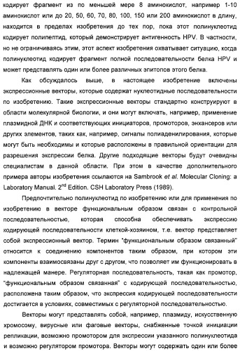 Полинуклеотидная последовательность, кодирующая полипептид вируса папилломы человека, ее применение, а также содержащие ее вектор и фармацевтическая композиция (патент 2354701)