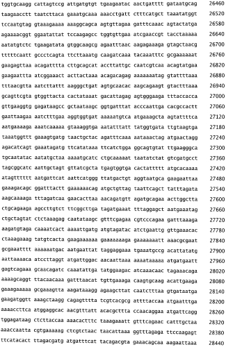 Бактериофаг, обладающий активностью против pseudomonas aeruginosa, белки бактериофага и способы их применения (патент 2580248)