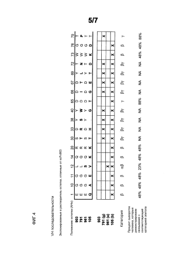 Способ снижения иммуногенности (патент 2585534)