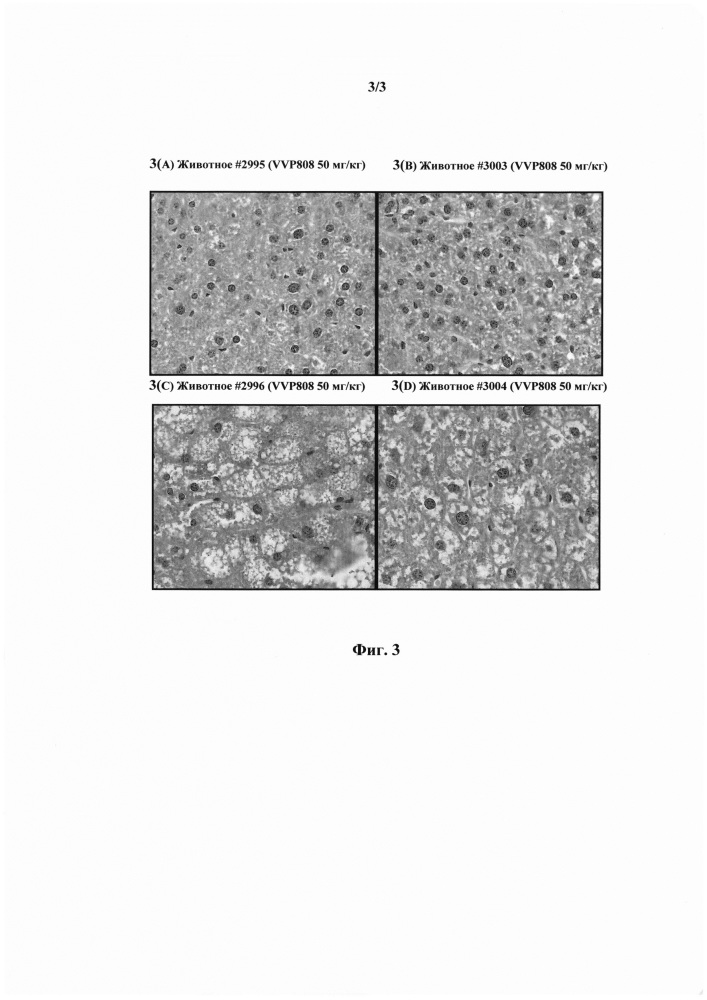 Способ улучшения функции печени (патент 2653478)