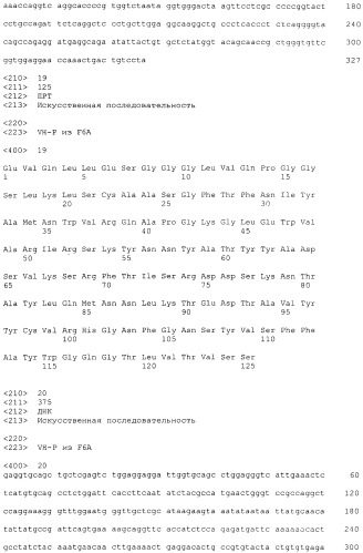 Pscaxcd3, cd19xcd3, c-metxcd3, эндосиалинxcd3, epcamxcd3, igf-1rxcd3 или fap-альфаxcd3 биспецифическое одноцепочечное антитело с межвидовой специфичностью (патент 2547600)