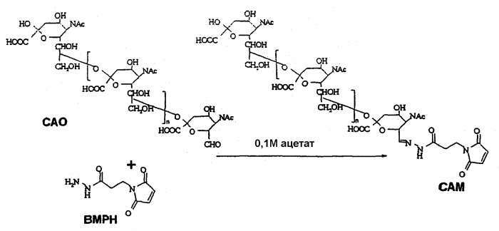 Производные полисиаловой кислоты (патент 2327703)