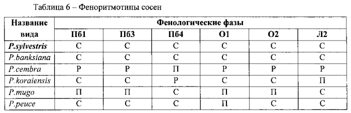 Способ прогноза перспективности сосновых в условиях культуры ex situ (патент 2552955)