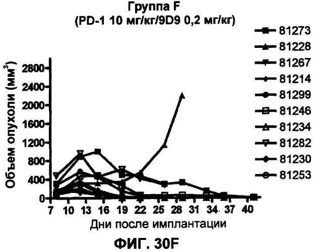 Моноклональные антитела человека к белку программируемой смерти 1 (pd-1) и способы лечения рака с использованием анти-pd-1-антител самостоятельно или в комбинации с другими иммунотерапевтическими средствами (патент 2406760)