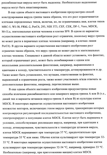 Способы и композиции для экспрессии антисмысловой вирусной рнк в клетках собаки (патент 2457250)
