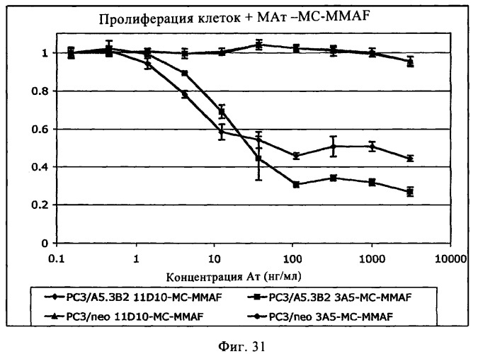 Композиции и способы диагностики и лечения опухоли (патент 2430112)