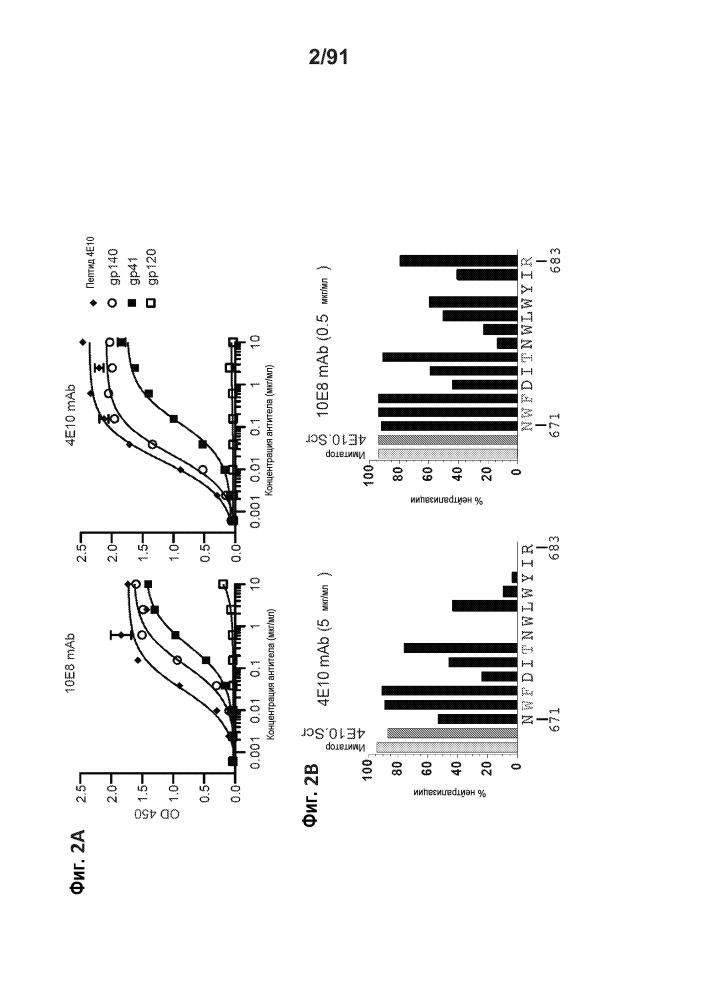 Gp41-нейтрализующие антитела и их применение (патент 2624046)