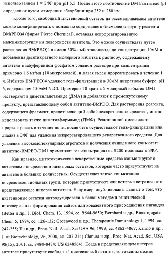 Композиции и способы диагностики и лечения опухоли (патент 2430112)