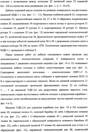 Фиторемедиационный способ очистки почв от тяжелых металлов (патент 2338353)