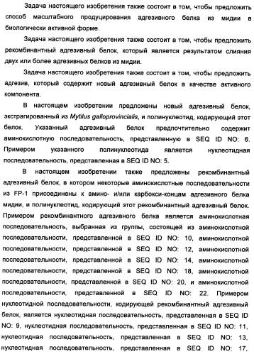 Биоадгезив мидии (патент 2349599)