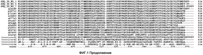 Варианты семейства, состоящего из 44 ксилоглюканаз (патент 2545721)