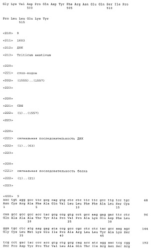 Последовательность днк и рекомбинантное получение основных аллергенов группы 4 из злаковых (патент 2373283)