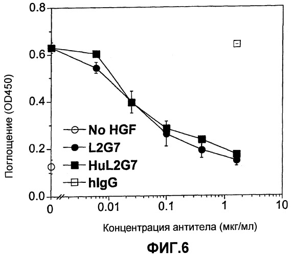 Гуманизированные моноклональные антитела к фактору роста гепатоцитов (патент 2461570)