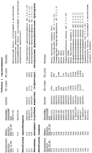 Гены corynebacterium glutamicum, кодирующие белки метаболических путей (патент 2306339)