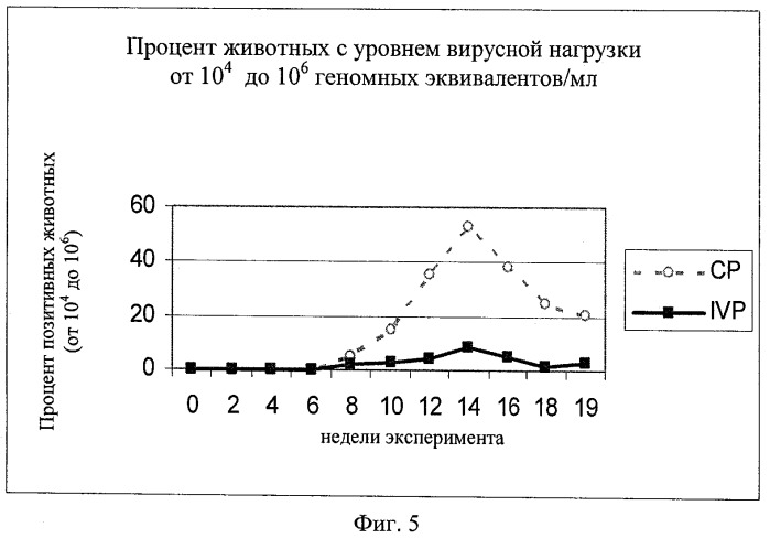 Предупреждение и лечение субклинической формы болезней, вызываемых цирковирусом свиней (pcvd) (патент 2520759)