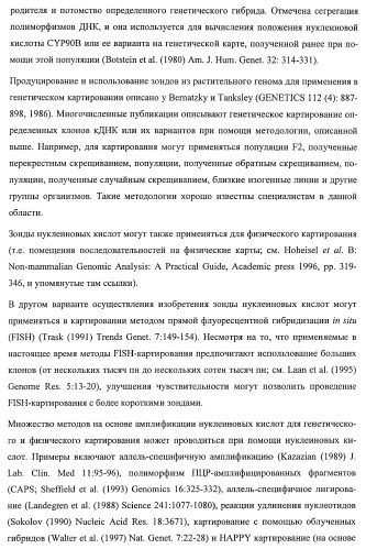 Растения, имеющие улучшенные характеристики роста, и способы их получения (патент 2463352)