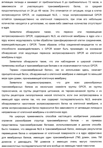 Способ идентификации соединений, взаимодействующих с трансмембранными белками (патент 2326166)