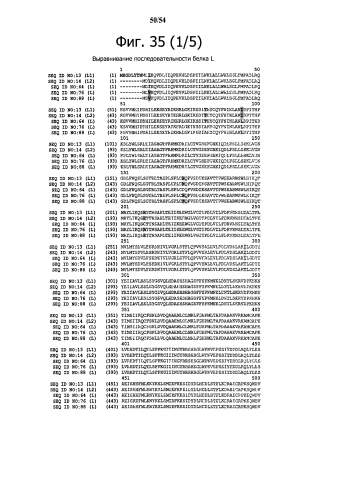 Способ получения рекомбинантного вирусного вектора apmv-8 (патент 2592544)