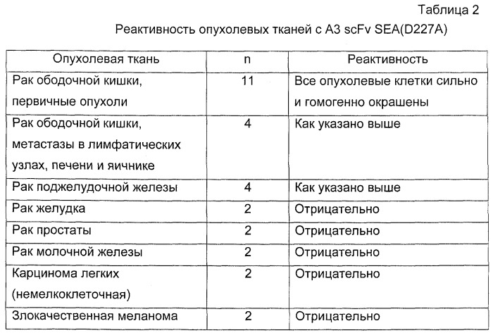 Антитела к антигену эпителиальных опухолей желудочно-кишечного тракта человека, родственному альфа 6 бета 4 интегрину (патент 2266298)