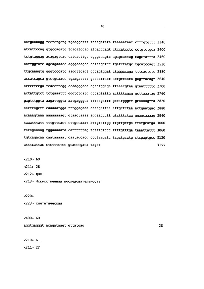 Мыши с гуманизированной универсальной легкой цепью (патент 2664232)