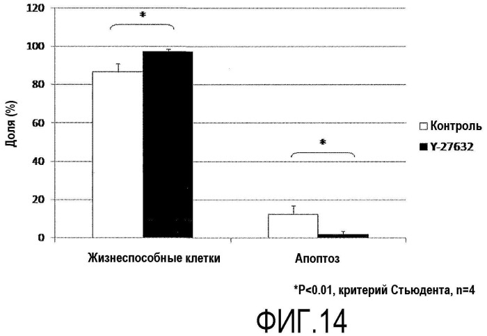 Средство для содействия адгезии роговичных эндотелиальных клеток (патент 2474434)