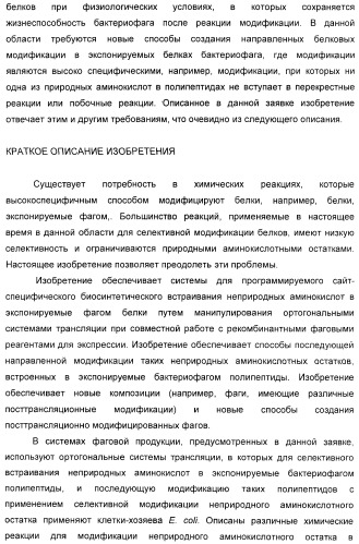 Селективная посттрансляционная модификация экспонируемых фагами полипептидов (патент 2459866)