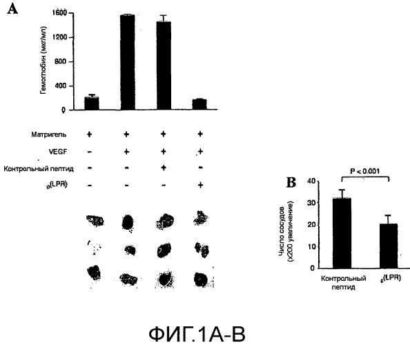 Пептиды направленного действия на vegfr-1/nrp-1 (патент 2488592)