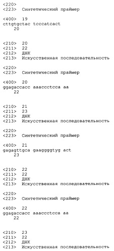 Трансгенные копытные животные, имеющие пониженную активность прионного белка, и их применения (патент 2384059)