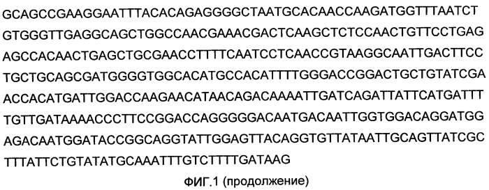 Иммунобиологическое средство и способ его использования для индукции специфического иммунитета против вируса эбола (варианты) (патент 2578160)