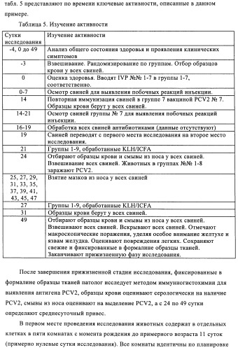 Поливалентные иммуногенные композиции pcv2 и способы получения таких композиций (патент 2488407)