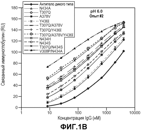 Варианты иммуноглобулина и их применения (патент 2536937)