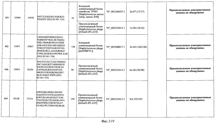 Бактериофаг, обладающий активностью против pseudomonas aeruginosa, белки бактериофага и способы их применения (патент 2580248)