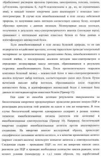 Биологический микрочип для множественного параллельного иммунологического анализа соединений и способы иммуноанализа, в которых он используется (патент 2363955)