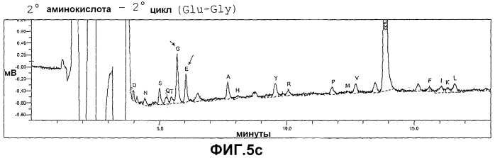 Внеклеточная гиалуронидаза из streptomyces koganeiensis (патент 2553205)