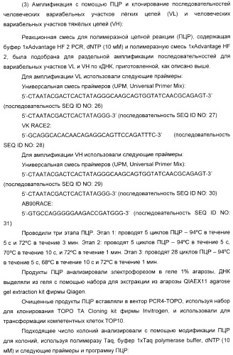 Антитела, связывающиеся с рецепторами kir2dl1,-2,-3 и не связывающиеся с рецептором kir2ds4, и их терапевтическое применение (патент 2410396)