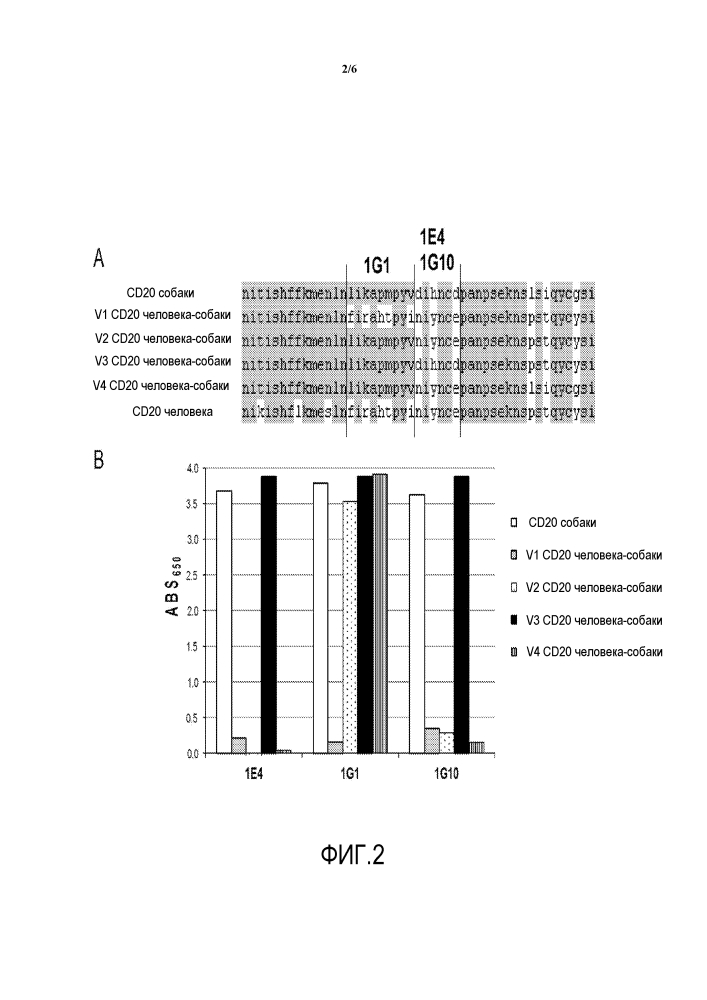 Моноклональные антитела и способы их применения (патент 2623122)