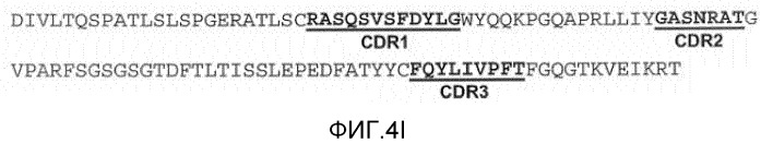 Антитела против mst1r и их применение (патент 2534890)