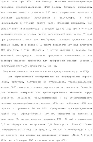 Антитела против вируса гепатита с (патент 2462475)