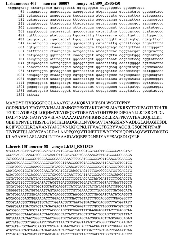 Штаммы lactobacillus brevis и lactobacillus rhamnosus с установленной последовательностью генома, синтезирующие глутатион и комплекс внутриклеточных антиоксидантов (патент 2617946)