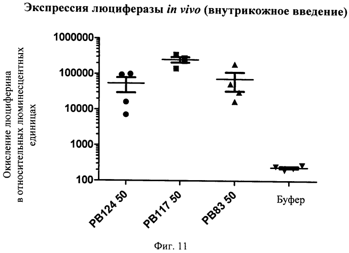 Связанные дисульфидной связью конъюгаты полиэтиленгликоля/пептида для трансфекции нуклеиновых кислот (патент 2552352)