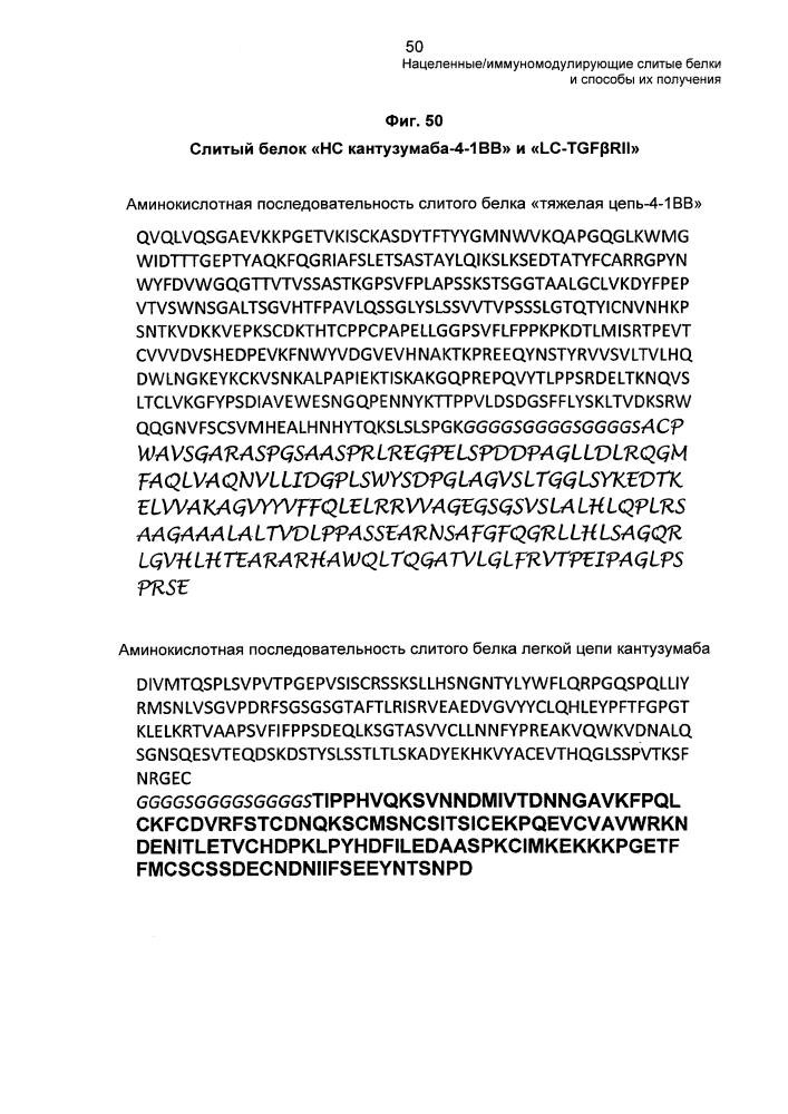 Нацеленные/иммуномодулирующие слитые белки и способы их получения (патент 2636342)