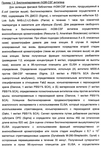 Антитела-нейтрализаторы гранулоцитарно-макрофагального колониестимулирующего фактора человека (патент 2458071)