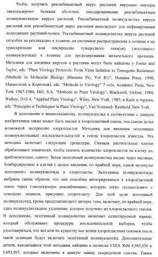 Изолированные полипептиды, кодирующие их полинуклеотиды, экспрессирующие их трансгенные растения и способы их использования (патент 2425151)