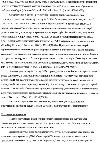 Способ получения l-треонина с использованием бактерии, принадлежащей к роду escherichia, модифицированной таким образом, что в ней нарушена способность к образованию ворсинок типа &quot;керли&quot; (патент 2338782)