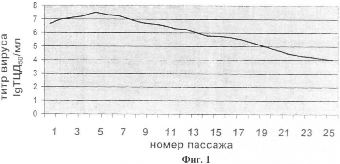 Вирус-вакцина против оспы коз культуральная сухая (патент 2396977)